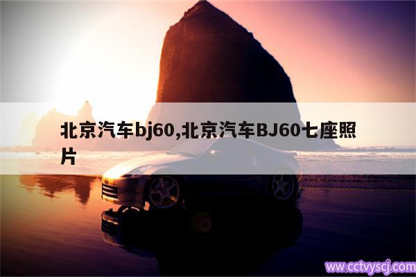 北京汽车bj60,北京汽车BJ60七座照片 